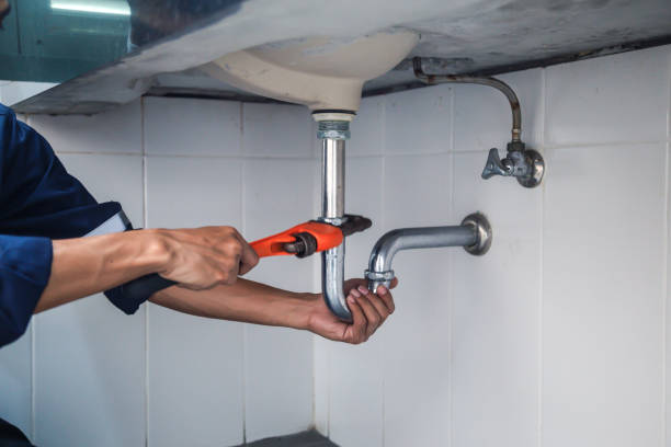 Best Emergency Plumber  in Roseau, MN