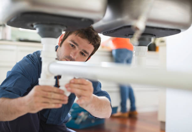 Best Water Leak Repair  in Roseau, MN