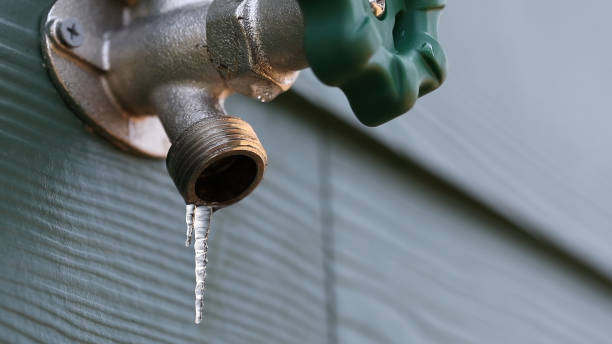 Best Septic Systems  in Roseau, MN