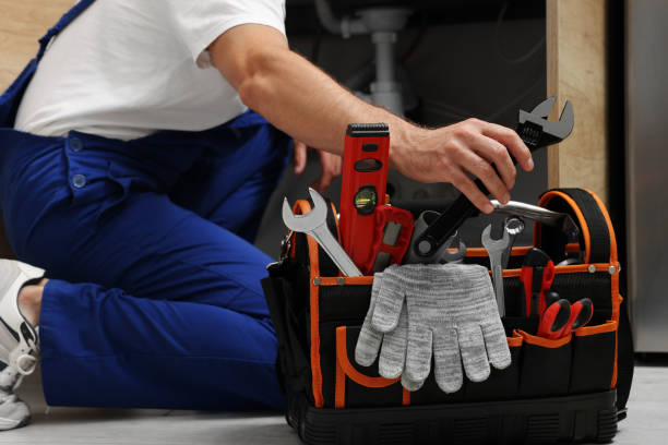  Roseau, MN Plumbing Pros