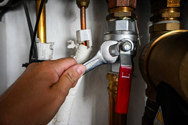 Best Sprinkler Systems  in Roseau, MN